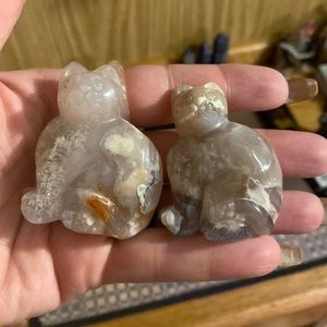Flower Agate Cats